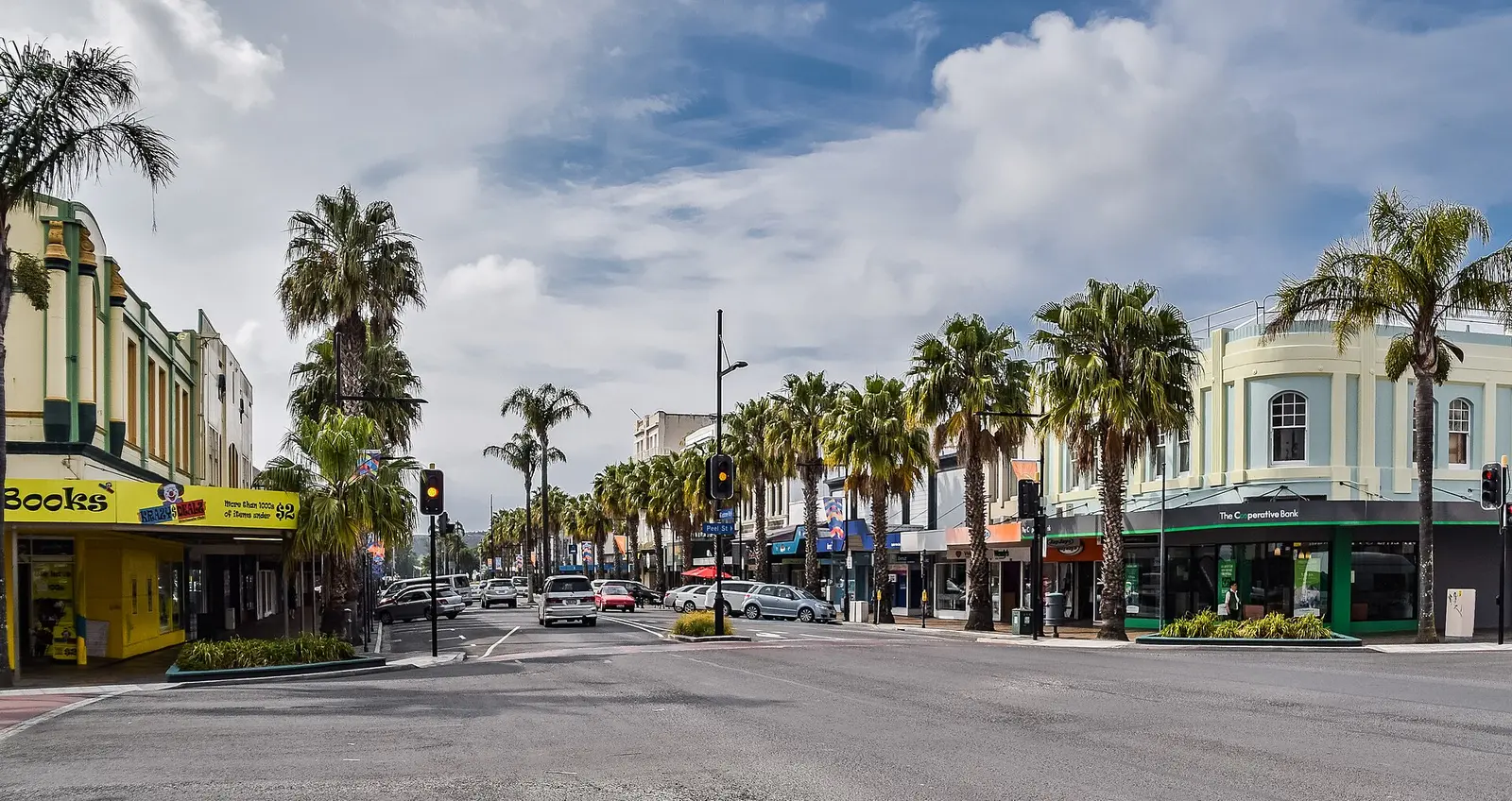 Palm trees along Gladstone Road in central Gisborne