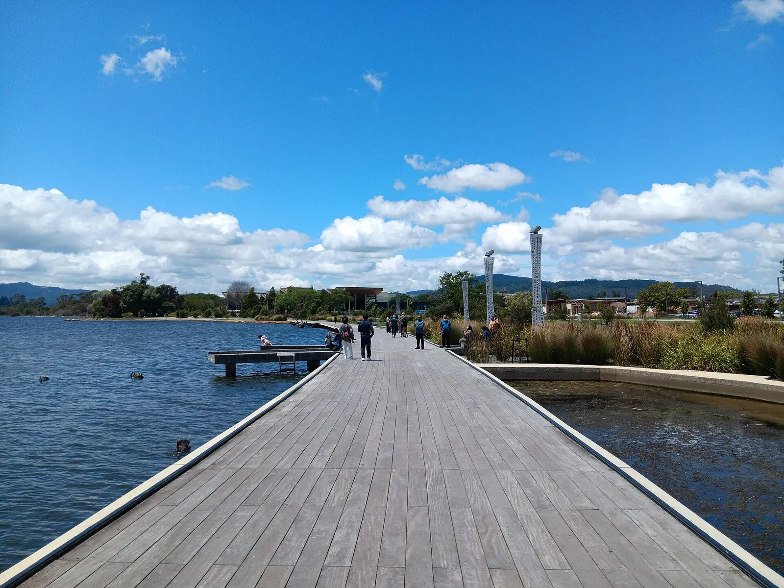 The shore of Lake Rotorua